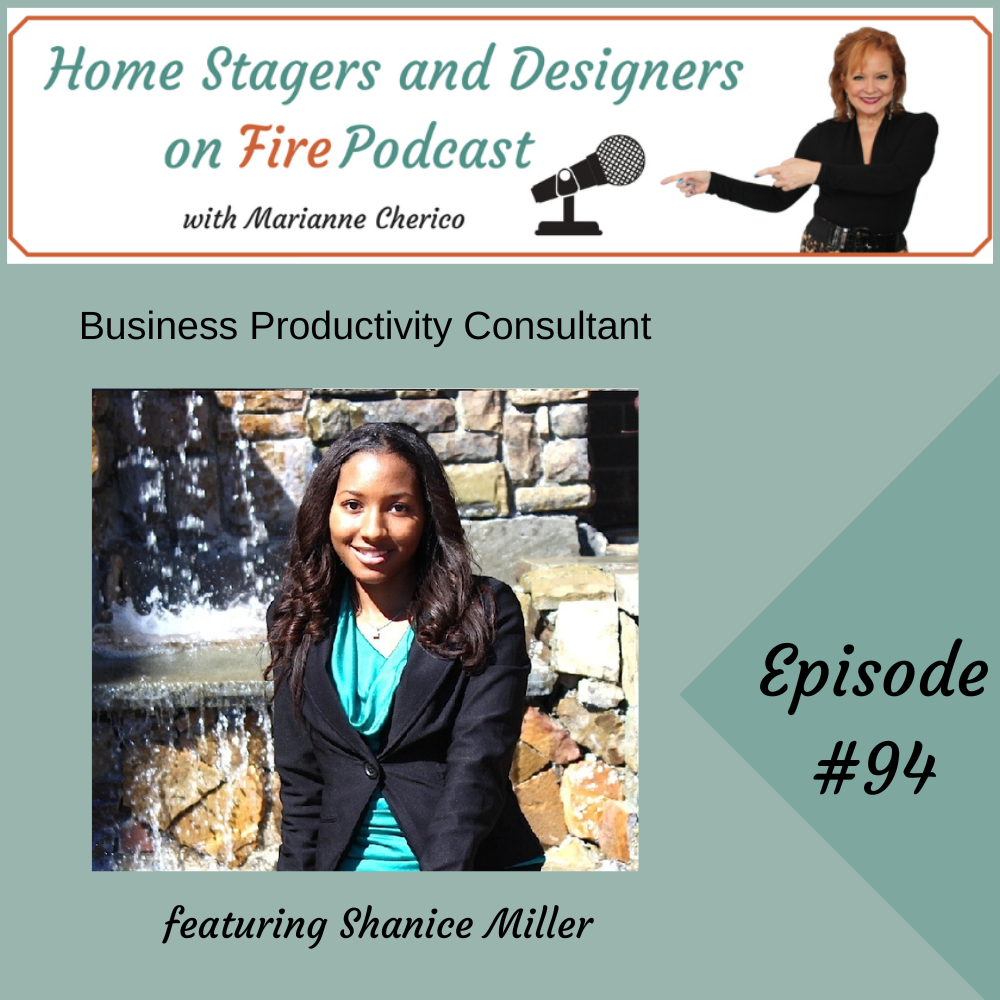 Episode 94: Business Productivity Consultant